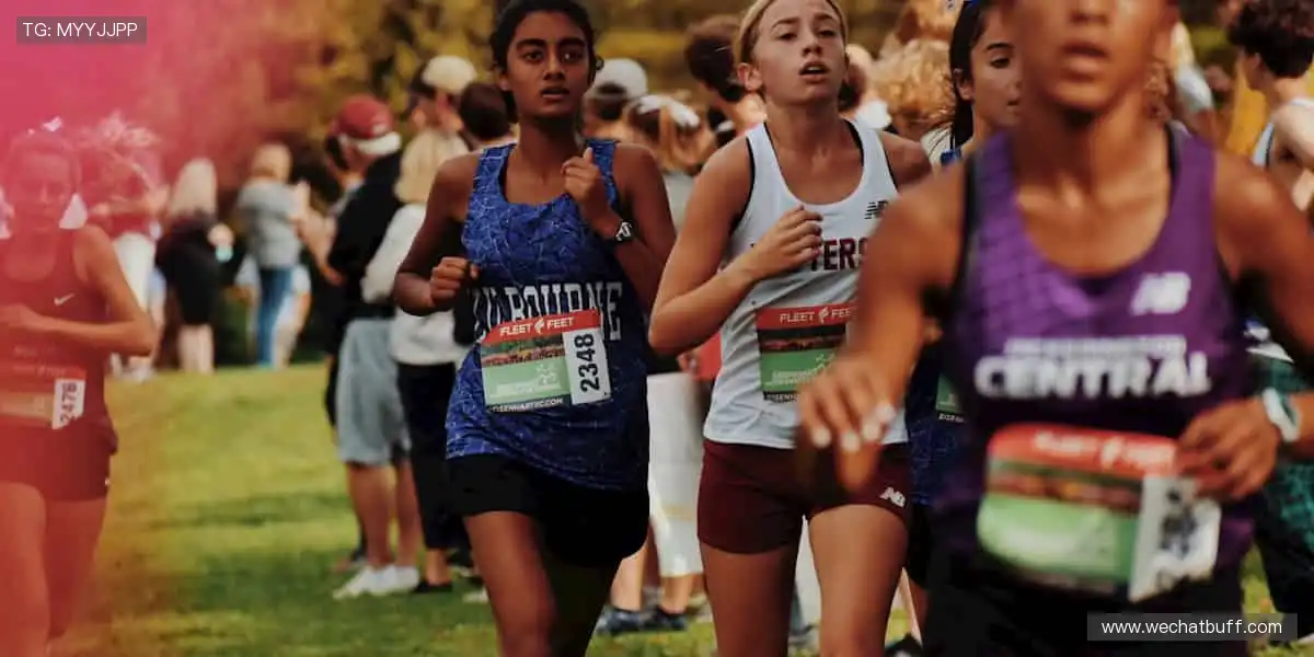 高清画质，畅享赛事！🎥🏒